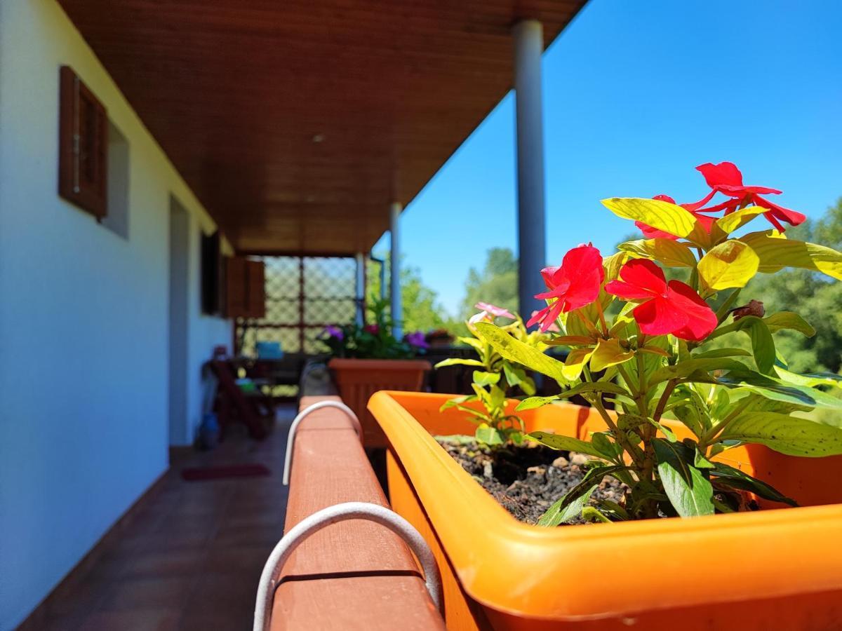 Apartman Dunav Aljmaš Esterno foto